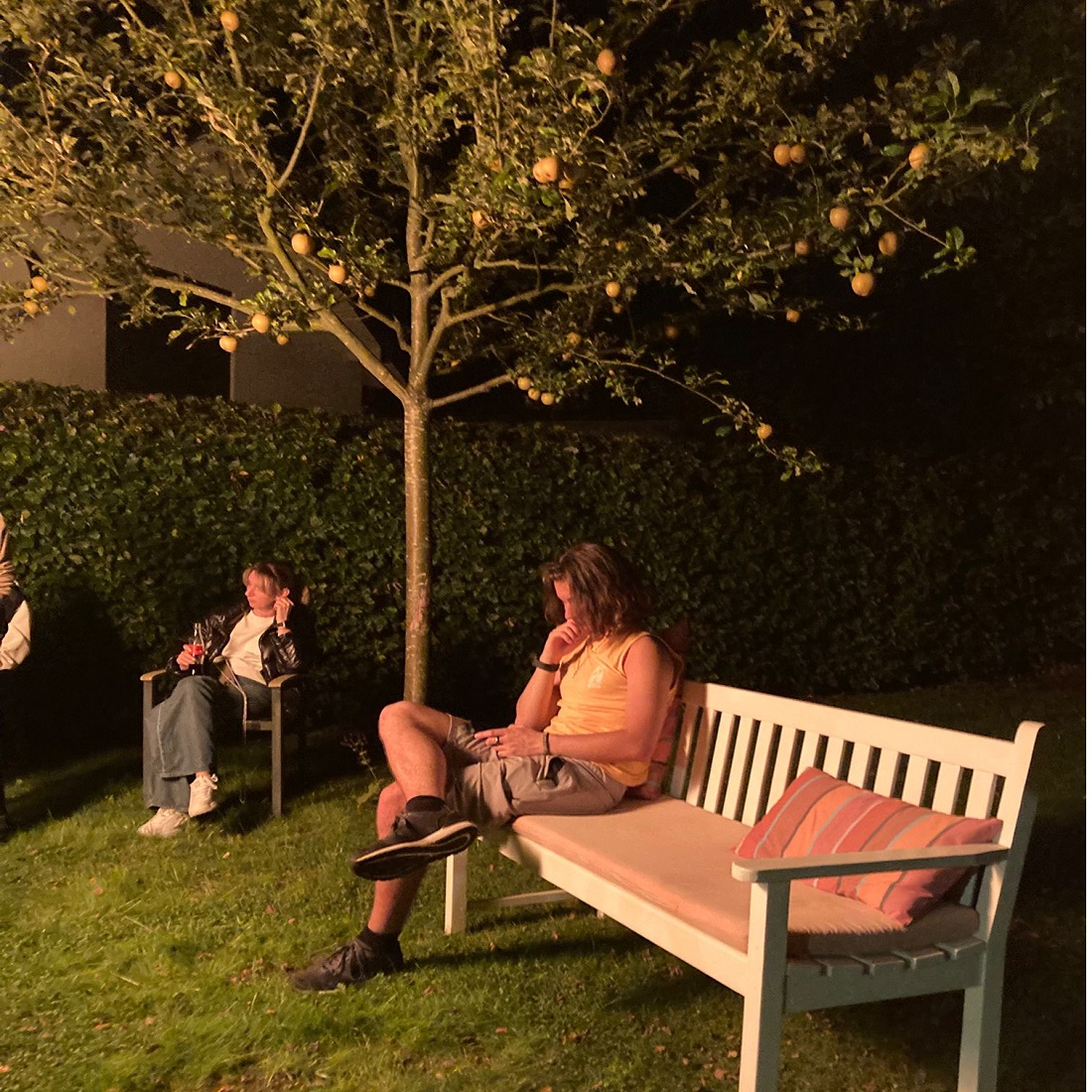 Junger Mann sitzt auf Gartenbank und guckt auf sein Handy